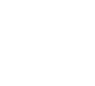 動画報告
